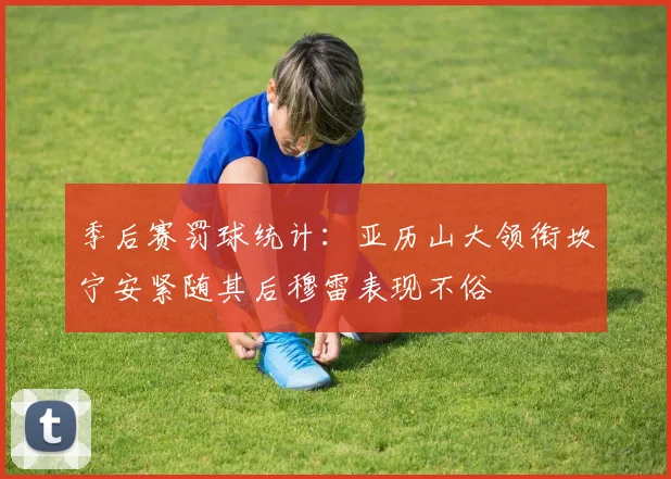 季后赛罚球统计：亚历山大领衔坎宁安紧随其后穆雷表现不俗
