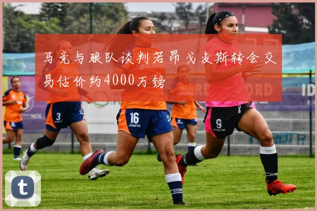 马竞与狼队谈判若昂戈麦斯转会交易估价约4000万镑